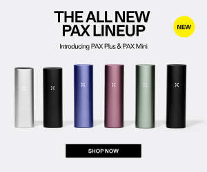 Pax Mini – PAX (med tilbehør)