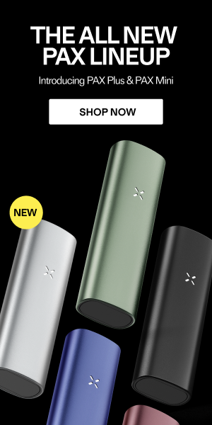 Pax Mini – PAX (detaljbilde)