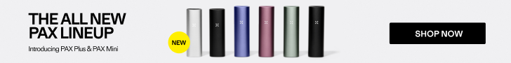 Pax Mini – PAX (fra siden)