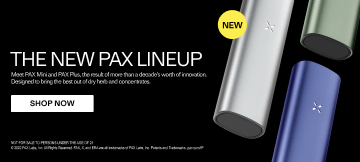 Pax Mini – PAX (varianter)