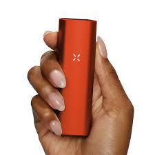 Pax Mini – PAX (pakningsinnhold)
