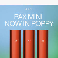 Pax Mini – PAX (i bruk)